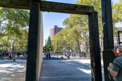 NYC Park