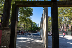NYC Park