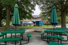 University of Mount Olive